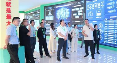 民建中央、民建湖南省委、民建云南省委调研组到顺丰洱海环保股份实地调研